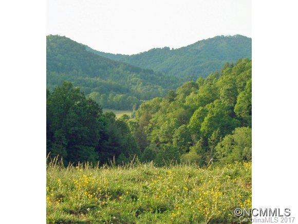 8761 Us 25 70 Highway Marshall NC 28753