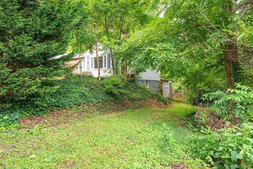 19 Asbury Road Asheville NC 28804