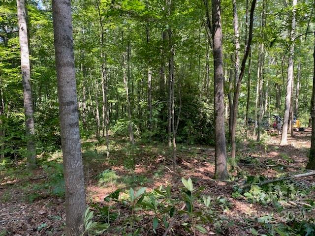 317 Souther Road Fletcher NC 28732