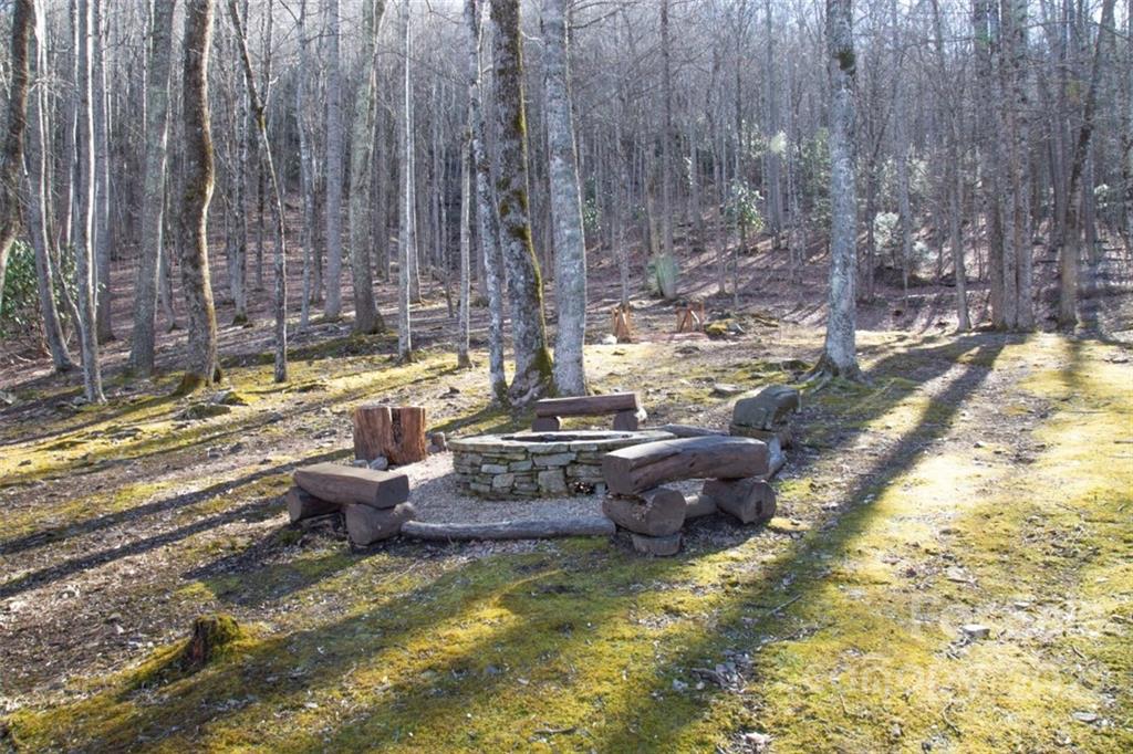 1645 Hickory Springs Road Burnsville NC 28714