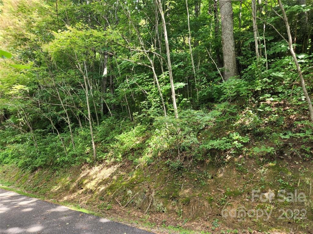 00 Heavenview Point Maggie Valley NC 28751