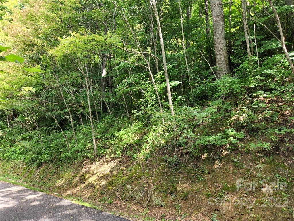 00 Heavenview Point Maggie Valley NC 28751