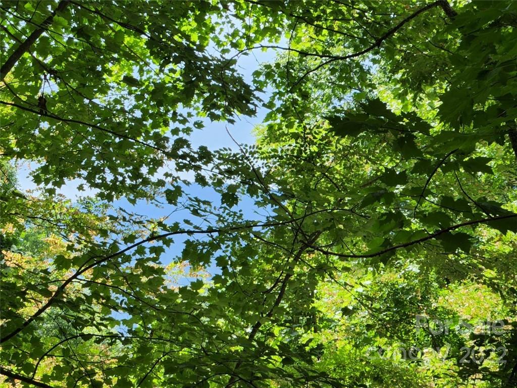 00 Heavenview Point Maggie Valley NC 28751