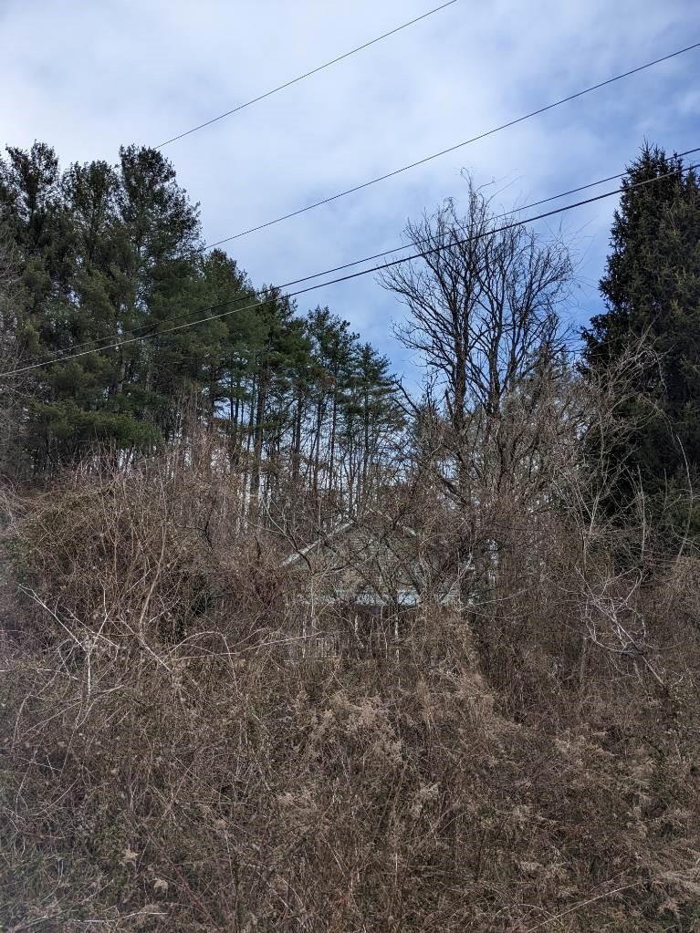 23 Clement Road Brevard NC 28712