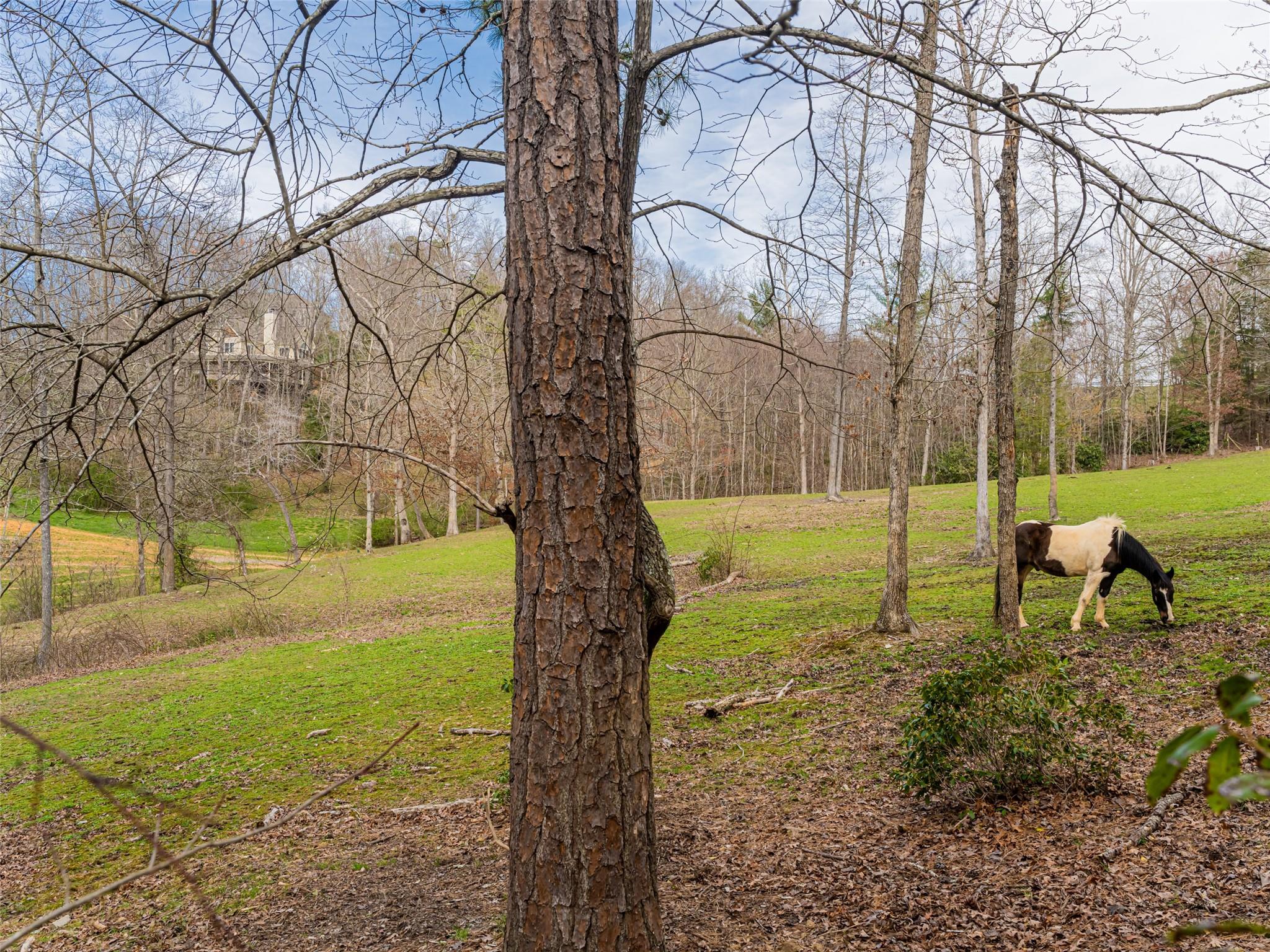 14 Landon Road Fairview NC 28730