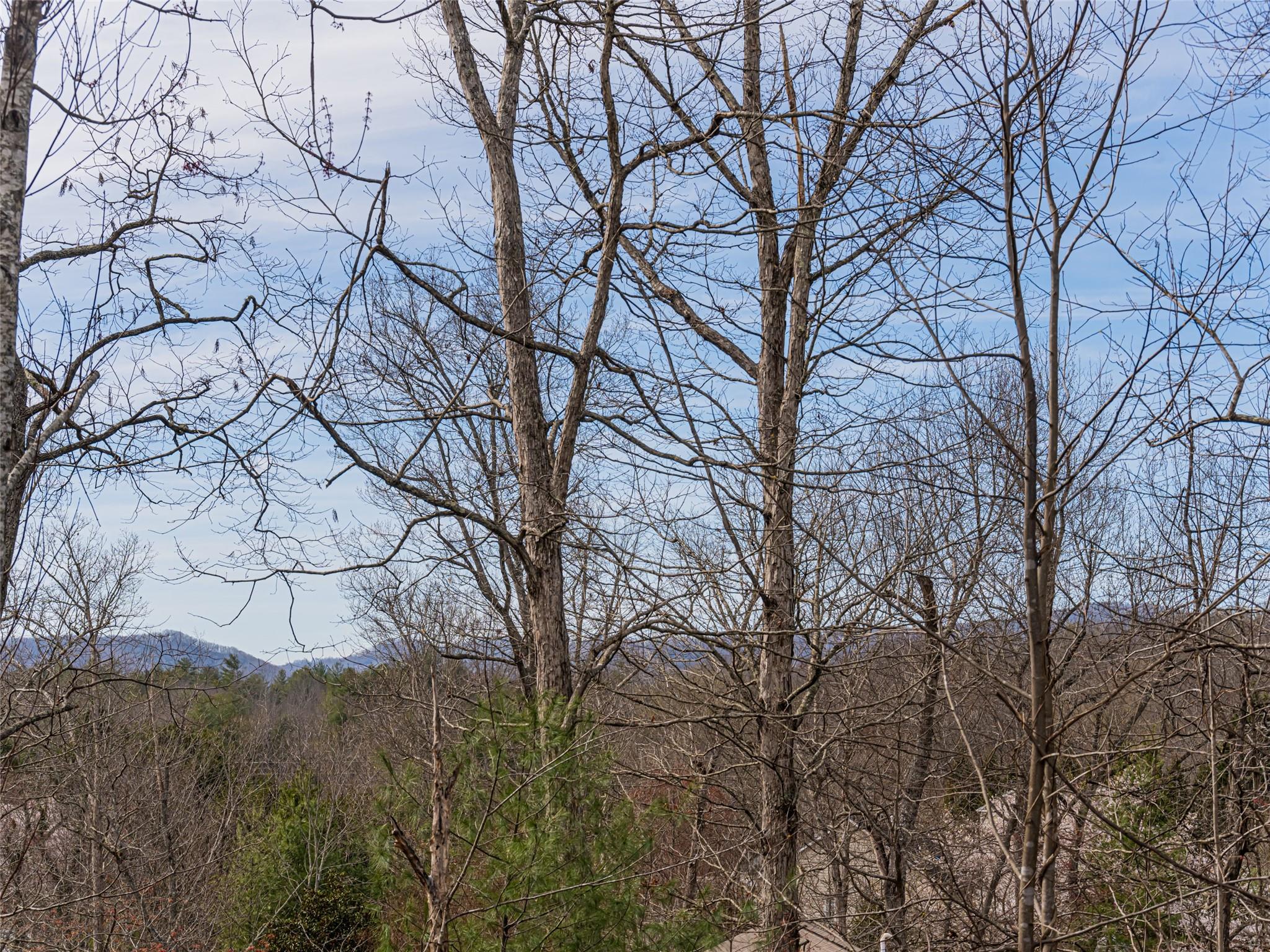 14 Landon Road Fairview NC 28730