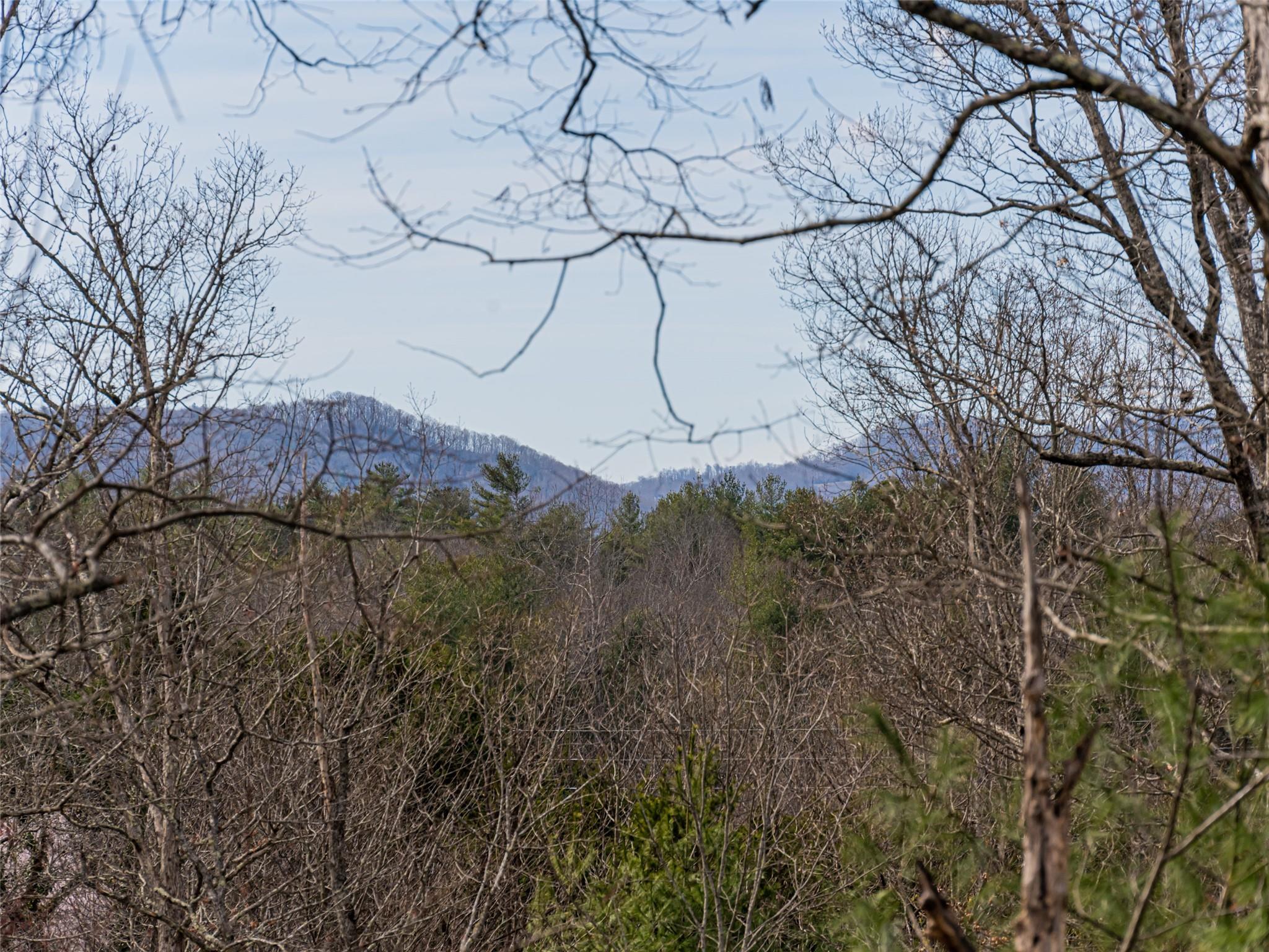 14 Landon Road Fairview NC 28730