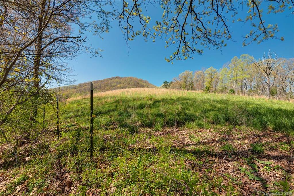 31 Morning Star Drive Leicester NC 28748
