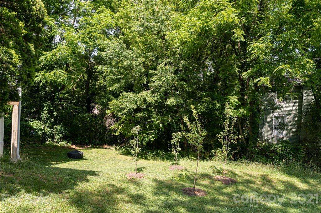 83 Clingman Avenue Asheville NC 28801