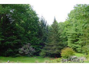 54 Trantham Creek Road Fairview NC 28730