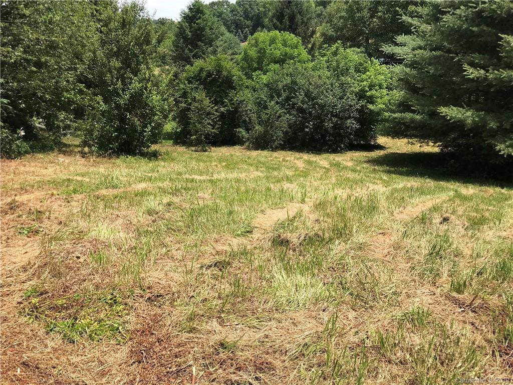2906 Rabbit Skin Road Waynesville NC 28785