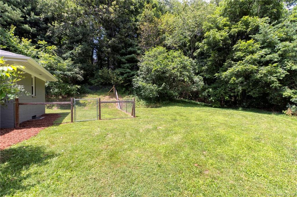 19 Mayfield Road Asheville NC 28804