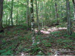311 Old Sawmill Road Burnsville NC 28714