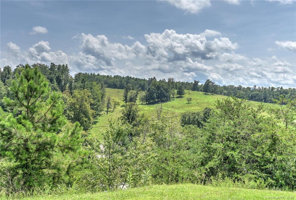 14 Bayberry Ridge Weaverville NC 28787