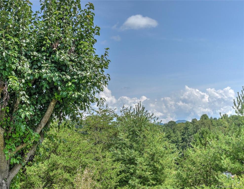 14 Bayberry Ridge Weaverville NC 28787