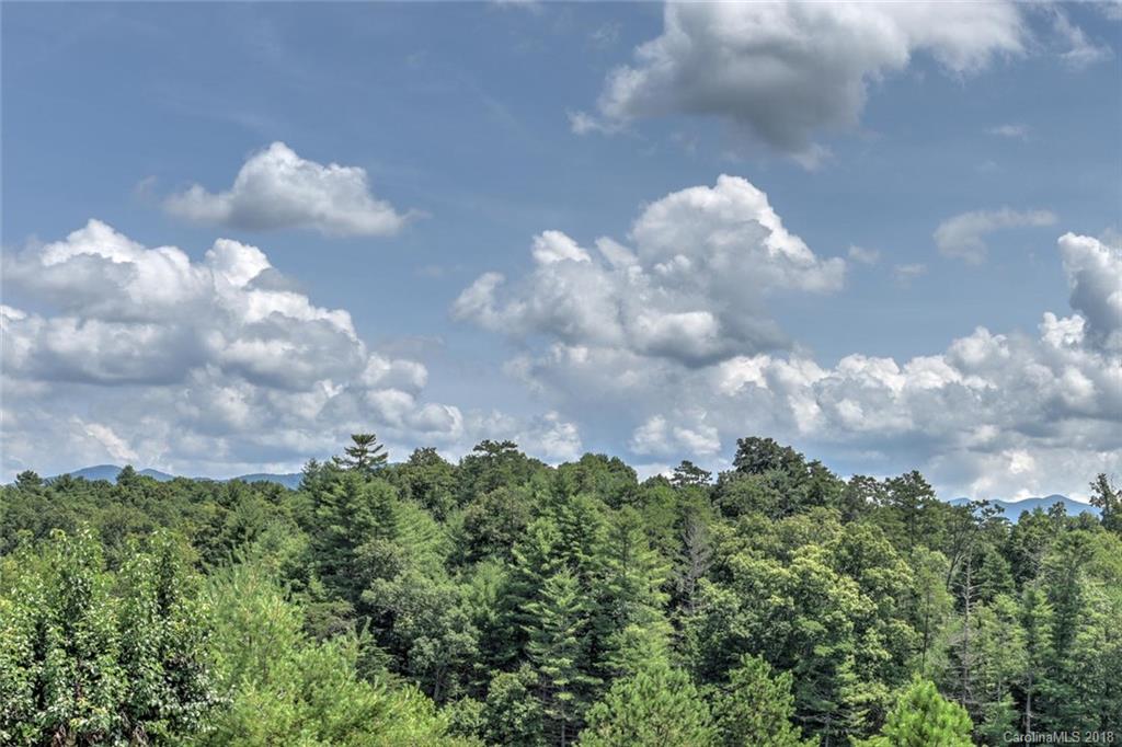 14 Bayberry Ridge Weaverville NC 28787