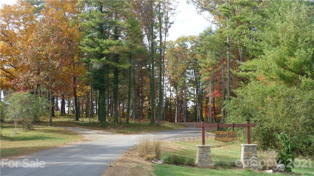 41 Tommy Ray Ridge Weaverville NC 28787