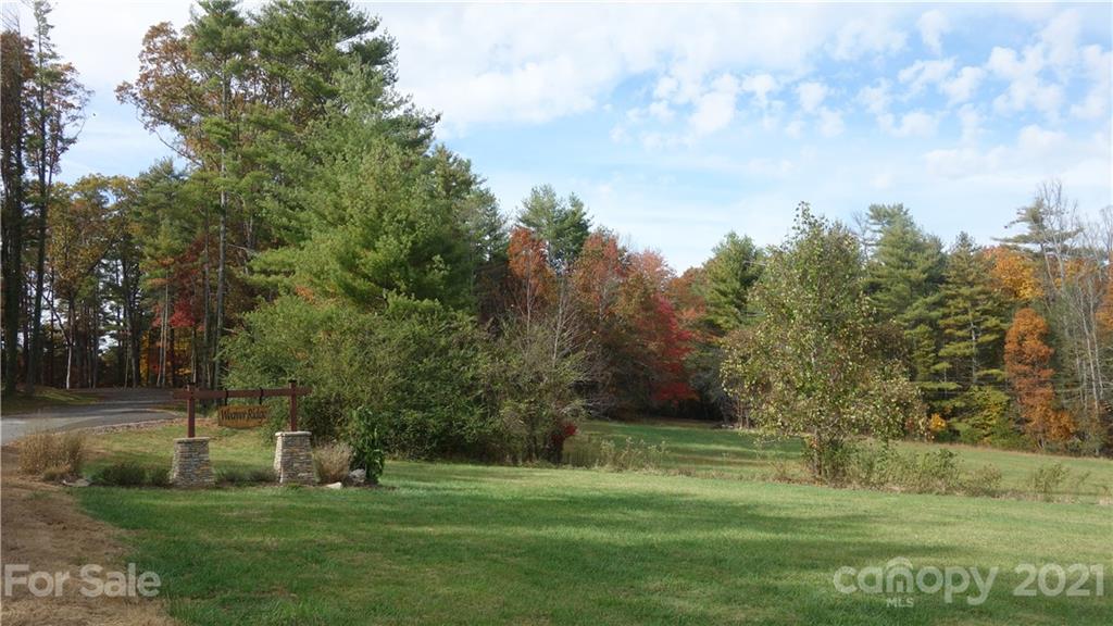41 Tommy Ray Ridge Weaverville NC 28787