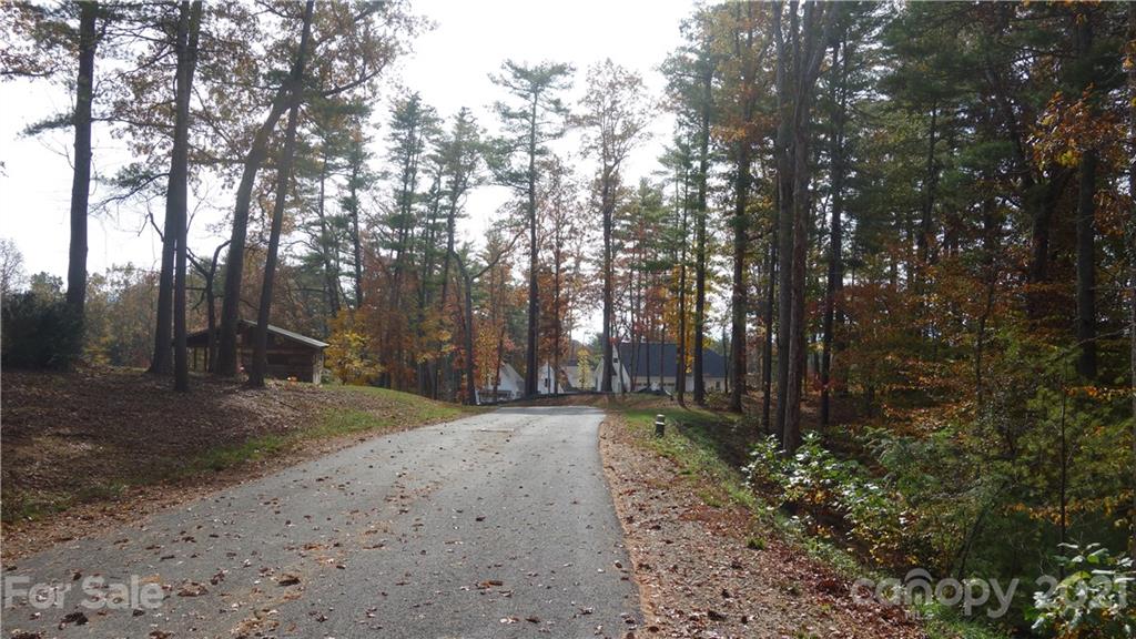 41 Tommy Ray Ridge Weaverville NC 28787