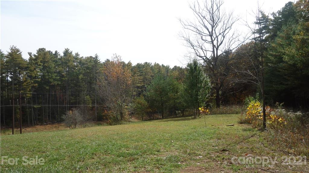 41 Tommy Ray Ridge Weaverville NC 28787
