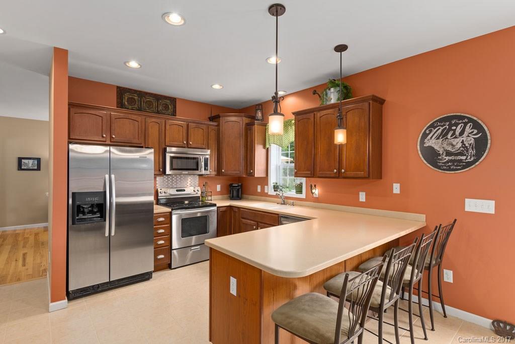 38 Appaloosa Drive Mills River NC 28759