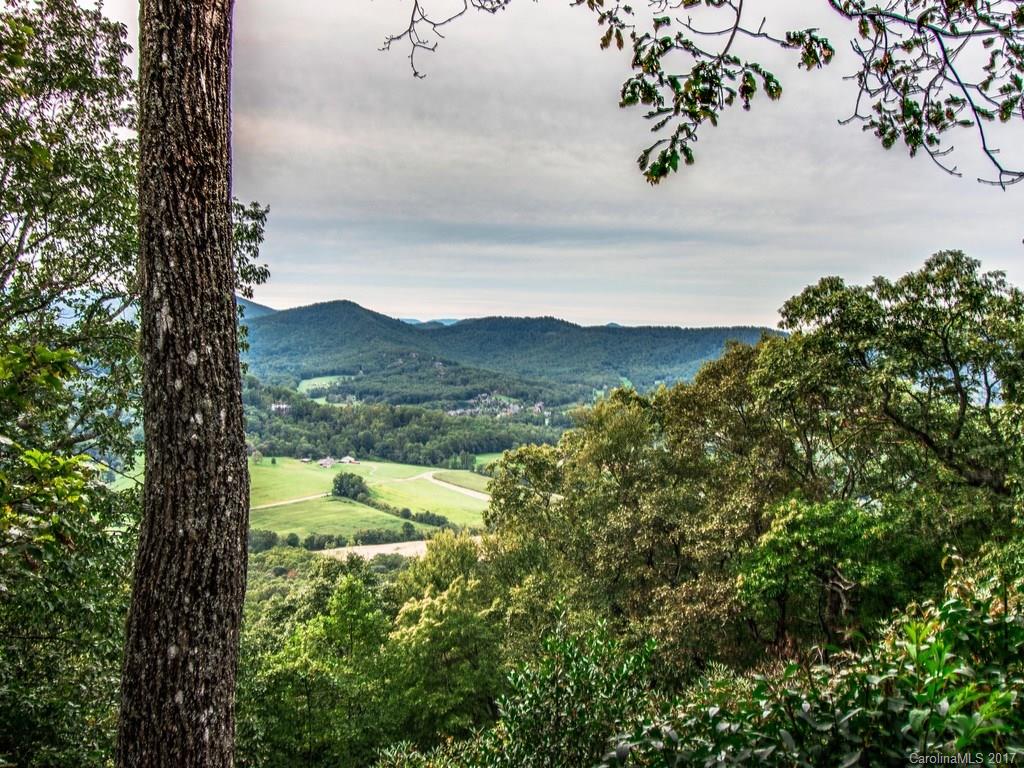 40 Chinquapin Drive Mills River NC 28759