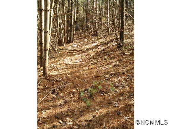 162 Pickens Road Weaverville NC 28787