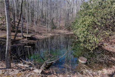 1457 & 1471 Sand Branch Road Black Mountain NC 28711