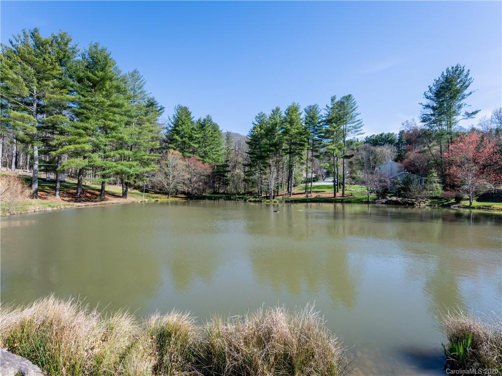 123 Forest Lake Drive Asheville NC 28803