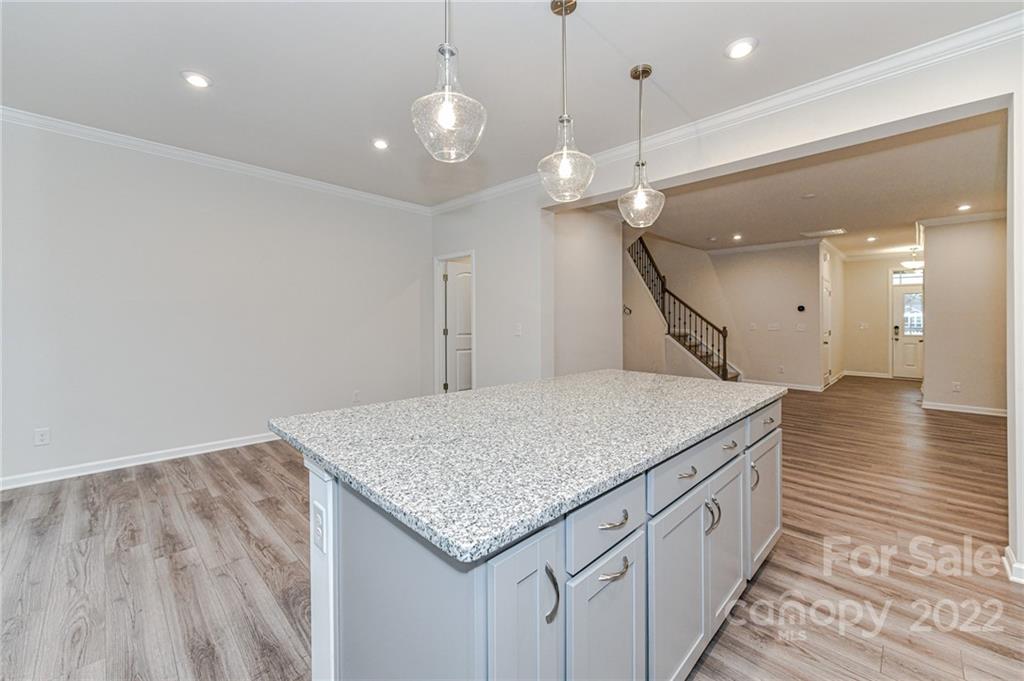16042 Red Buckeye Lane Huntersville NC 28078