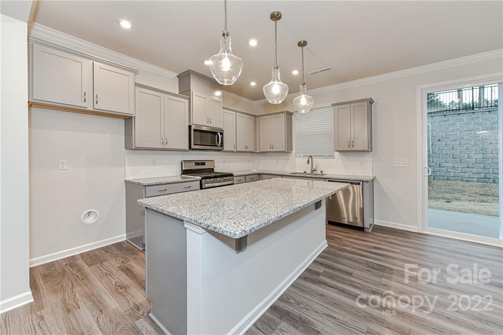16042 Red Buckeye Lane Huntersville NC 28078