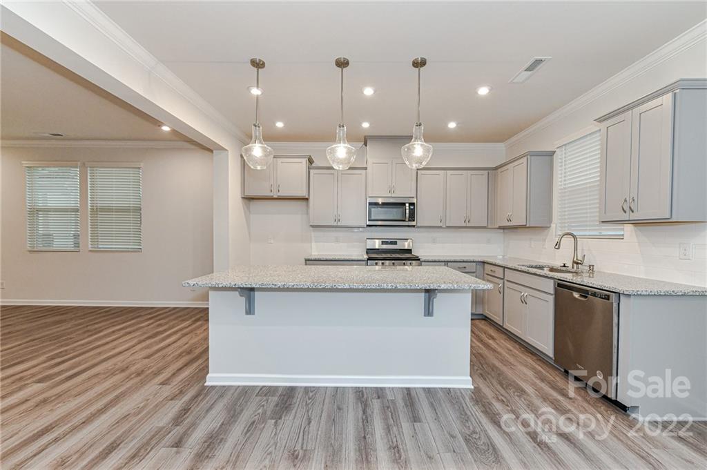 16042 Red Buckeye Lane Huntersville NC 28078