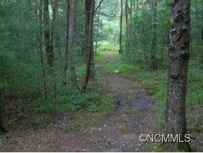 273 Holly Arbor Lane Asheville NC 28803