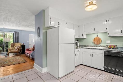61 Tipperary Drive Asheville NC 28806