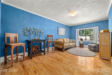 61 Tipperary Drive Asheville NC 28806