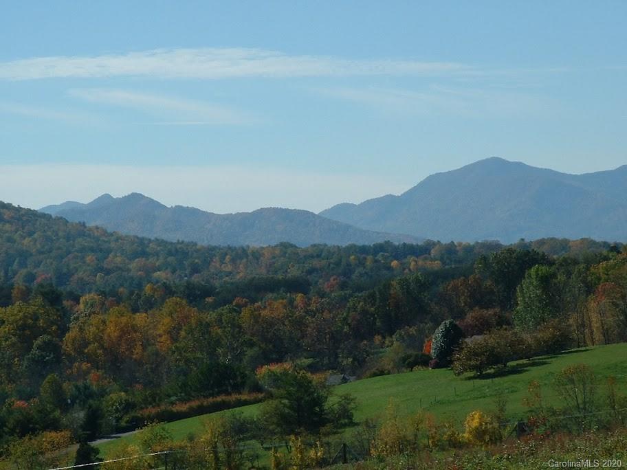 61 Penley Park Drive Weaverville NC 28787