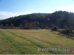 11 Lone Star Trail Weaverville NC 28787