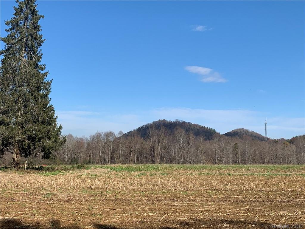 25 Connie Davis Road Candler NC 28715