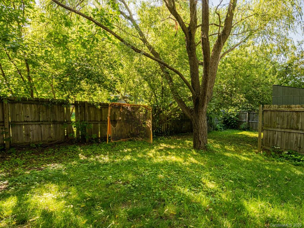 264 Hillside Street Asheville NC 28801