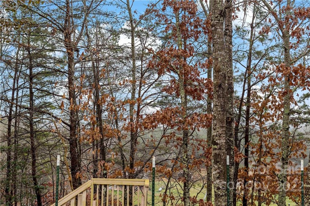 102 Flatlander Drive Old Fort NC 28762