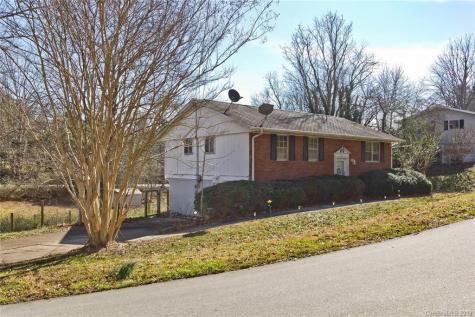 28 Brown Street Weaverville NC 28787