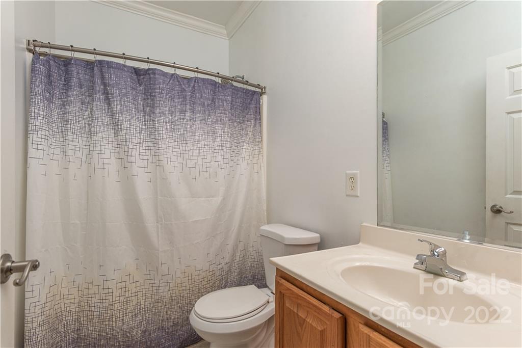 317 White Pine Drive Asheville NC 28805