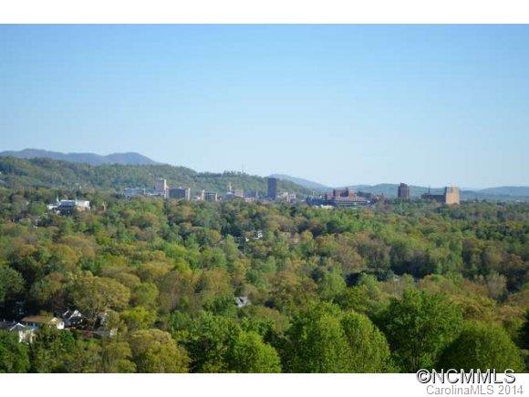 38 Lookout Road Asheville NC 28804