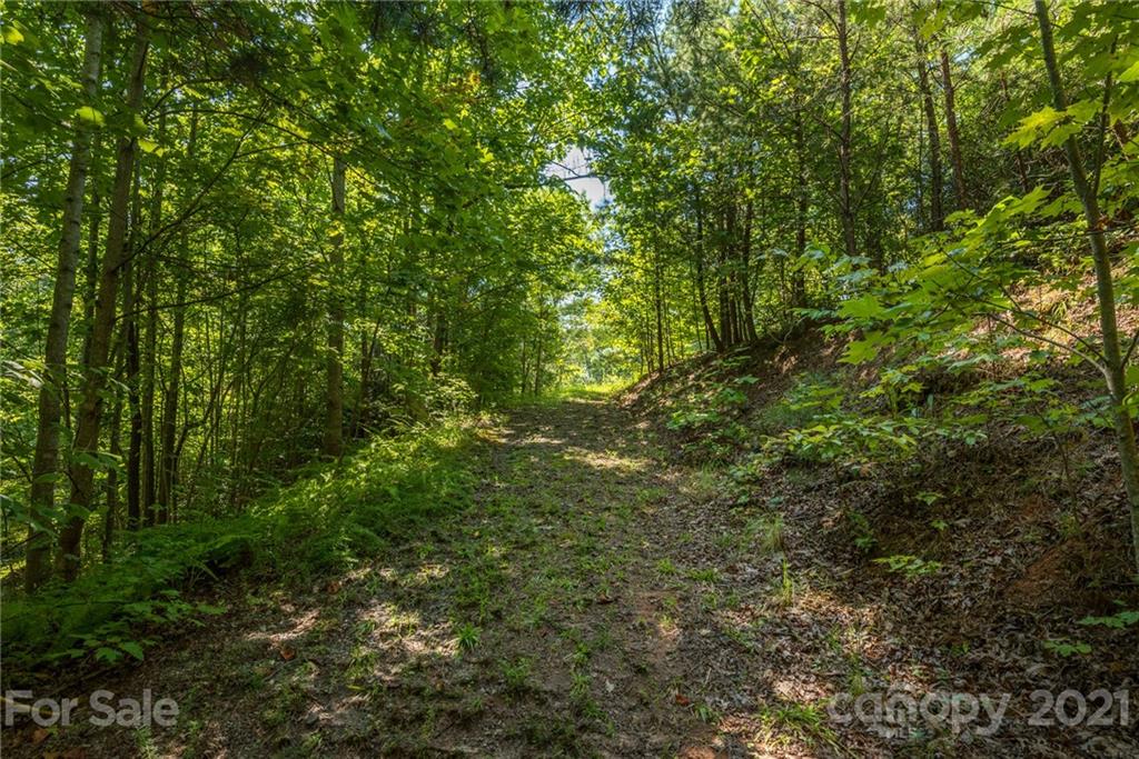 277 Long Ridge Road Old Fort NC 28762