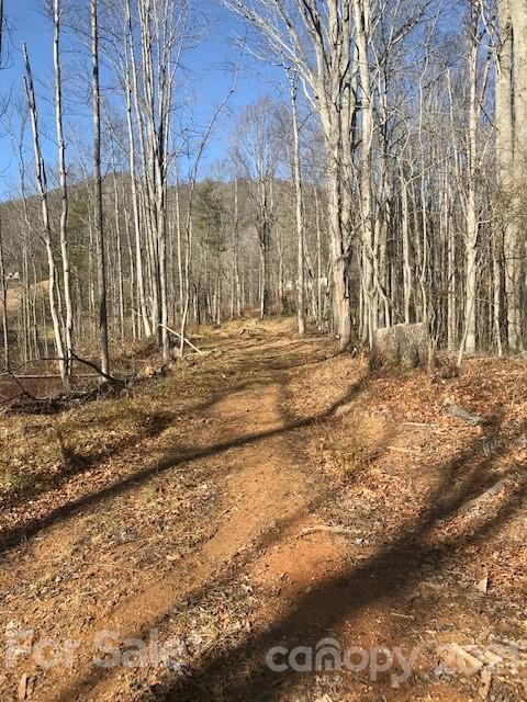 820 Green Mountain Drive Burnsville NC 28714