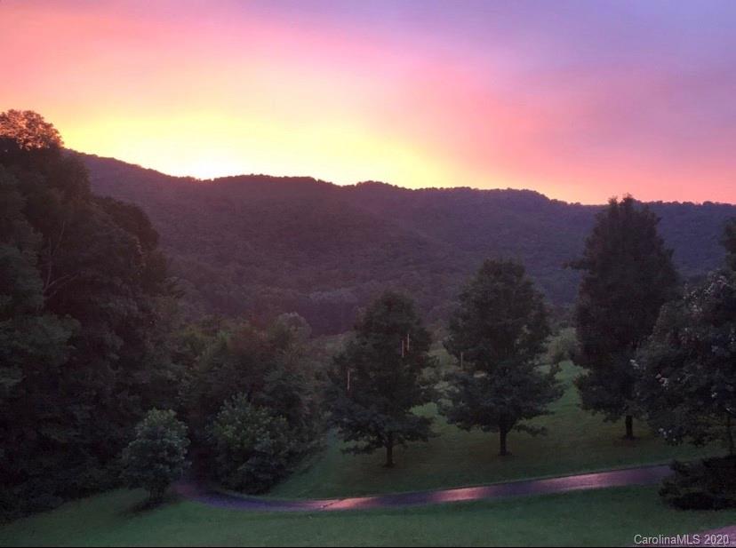 766 S Turkey Creek Road Leicester NC 28748