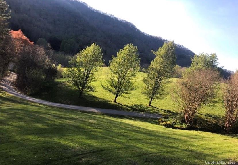 766 S Turkey Creek Road Leicester NC 28748