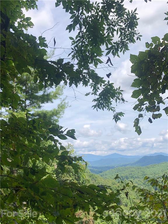 0000 Miners Ridge Drive Burnsville NC 28714