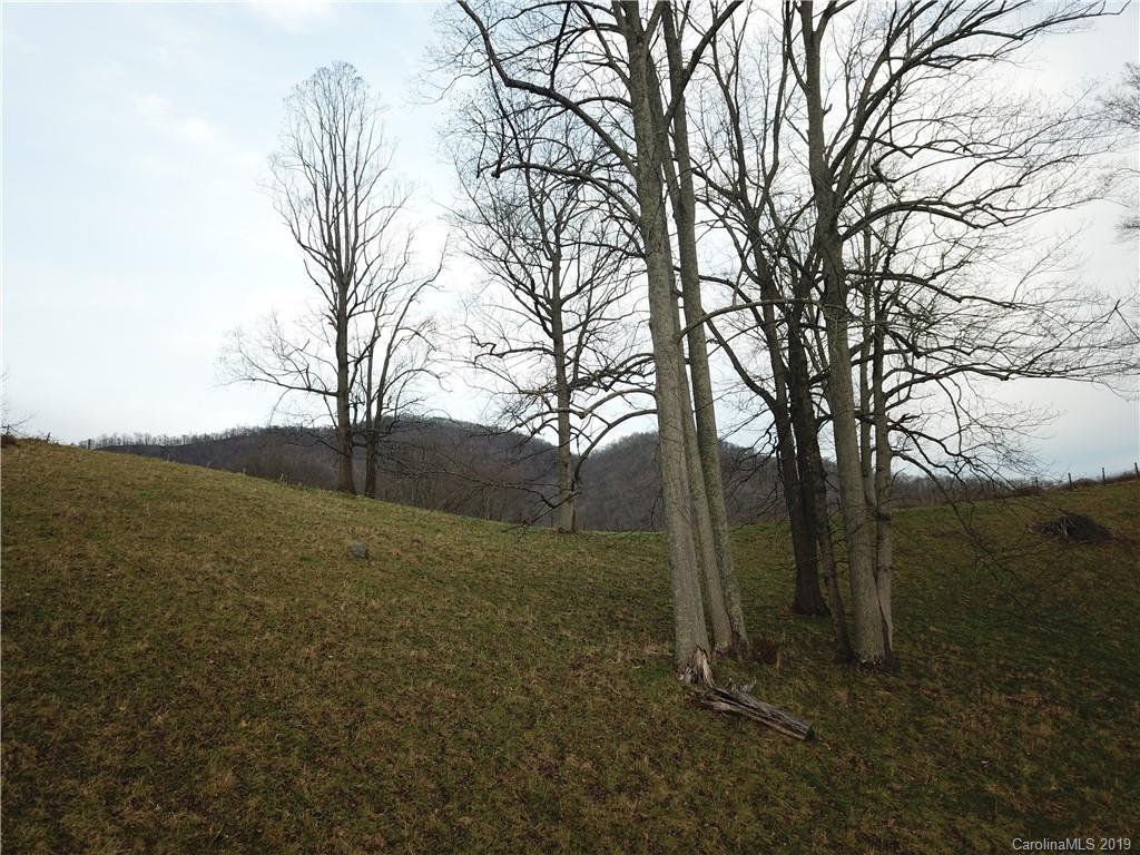 8617 Cruso Road Canton NC 28716