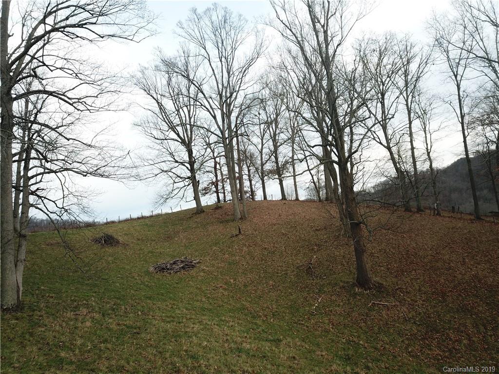 8617 Cruso Road Canton NC 28716
